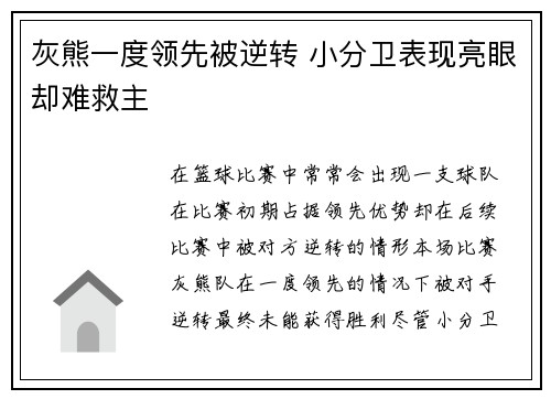 灰熊一度领先被逆转 小分卫表现亮眼却难救主